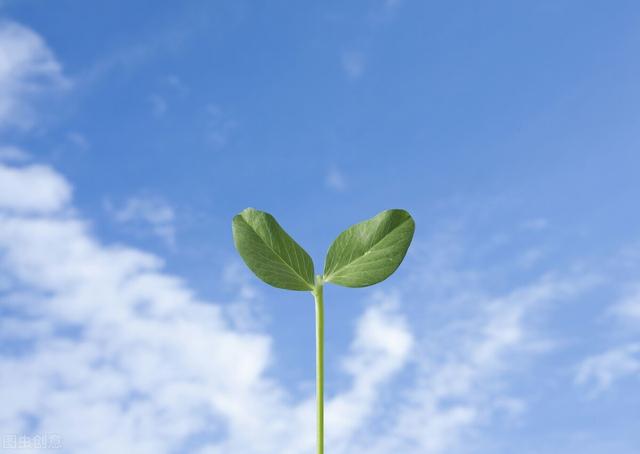 生活小小说：健康问题让我犯了愁