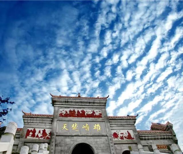 鸟声是云山悠然的种子//邹三龙