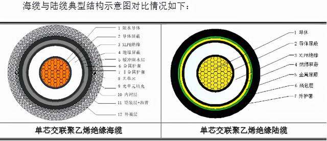 海缆行业：东方电缆&中天科技基本面分析