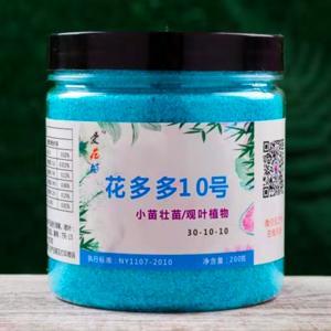 凤尾竹 凤尾竹  凤尾竹图片 生活