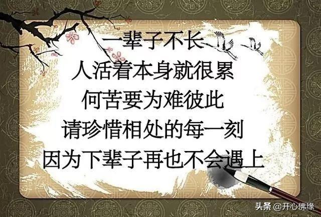 一路走来，我不优秀，但我善良不虚伪