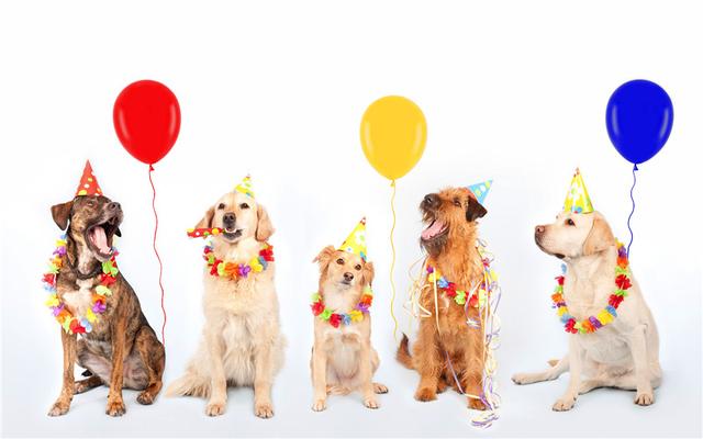 适合一个人做的摆摊生意，低成本小生意赚钱