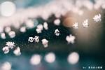 TArtisan發佈售價235.50美元的50 F1.4全畫幅無反手動鏡頭