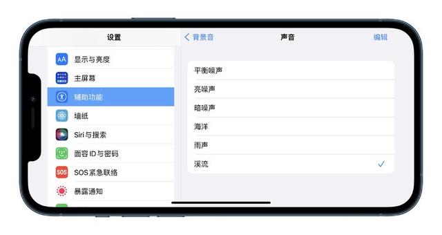 iPhone 上的辅助功能，可能是你遗忘的宝藏-第17张图片-9158手机教程网