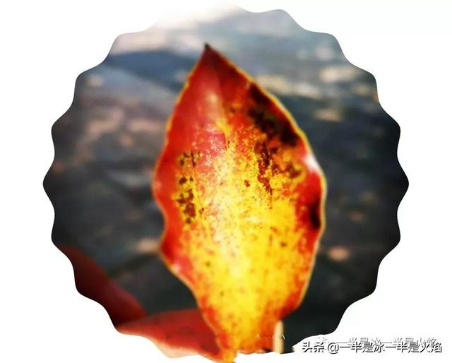 随笔：秋天里