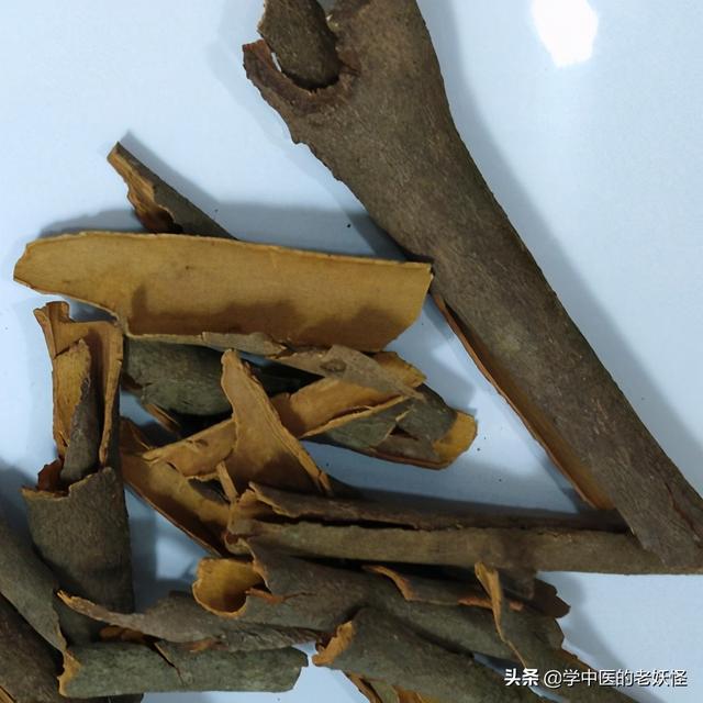 每日一中药——肉桂