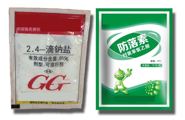 2,4-D？防落素？保花剂？茄子蘸花药用哪种更好？2