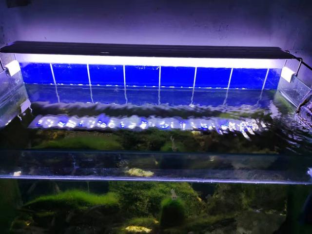 鱼缸过滤机哪个品牌好