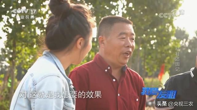 在家如何做个小型的破碎机