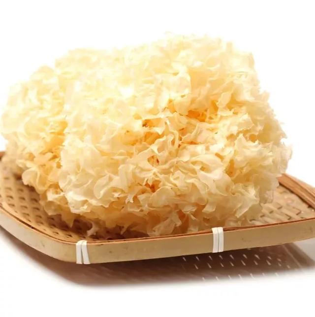 世界传统医药日丨 生活处处有中医，今天你认真养生了吗？