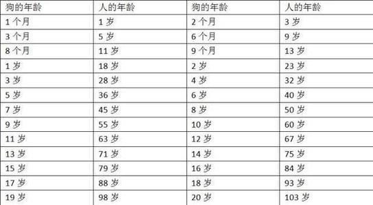 狗的寿命有多长