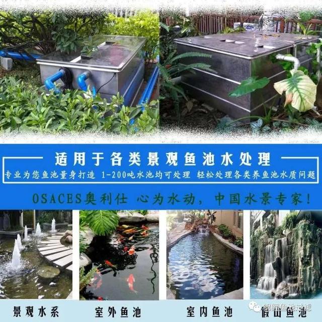 鱼池转鼓过滤机需要多久冲一次水