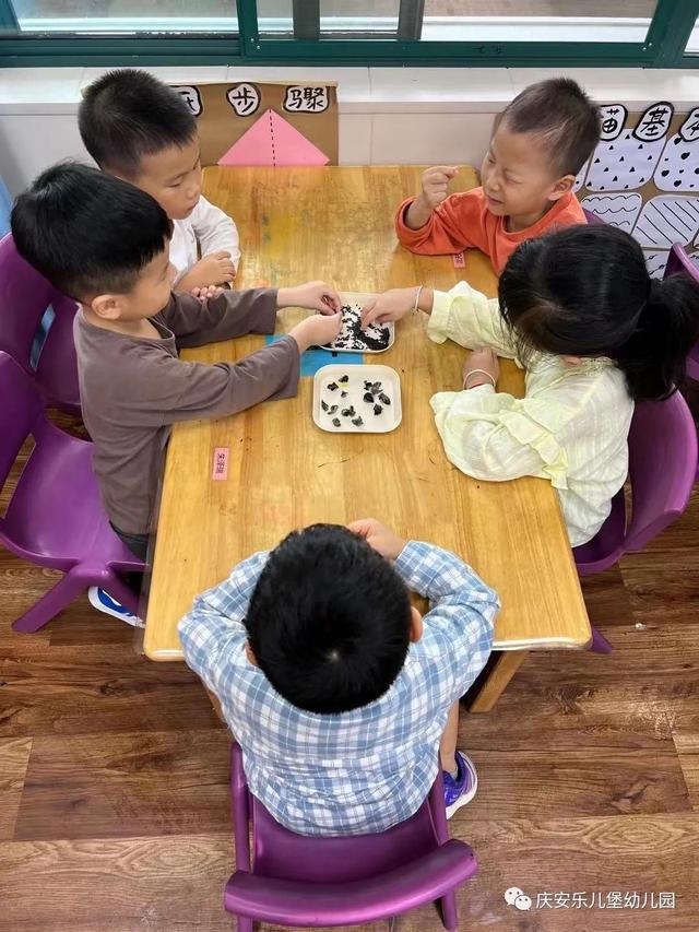 好吃的黑黑——诺亚舟庆安乐儿堡幼儿园中四班课程故事