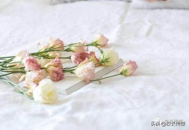 康红舒：教育要滋养孩子的美好人性