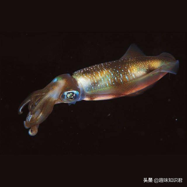 ̵8˲˼ţ㶼֪أ-8ͼƬ-Ȥ