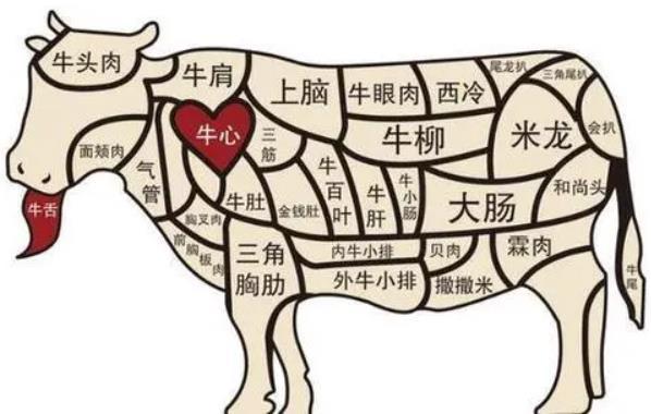 现在，买什么基金赚钱？