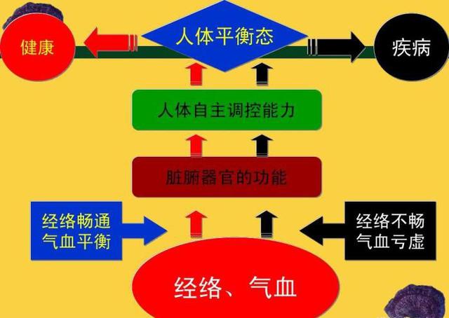 糖尿病为什么越治越严重？答案在这里