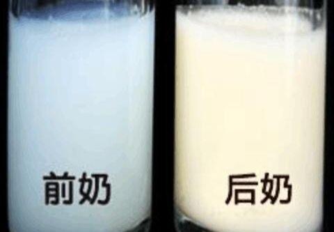 前奶解渴，后奶管饱，宝宝多久能吃到后奶？3个技巧帮宝宝吃后奶