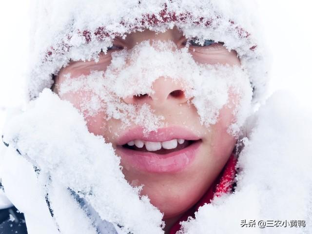 天气预报：今年冬季冷吗？就看九月初九天气，农谚俗语能预兆