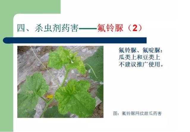 夏季高温，虫螨腈在这些作物慎用！已有农资店赔了几万11