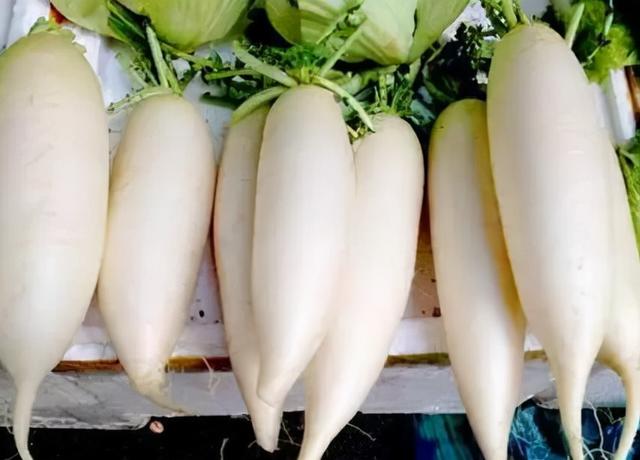 冬天宝宝吃什么蔬菜好？这3种蔬菜很合适