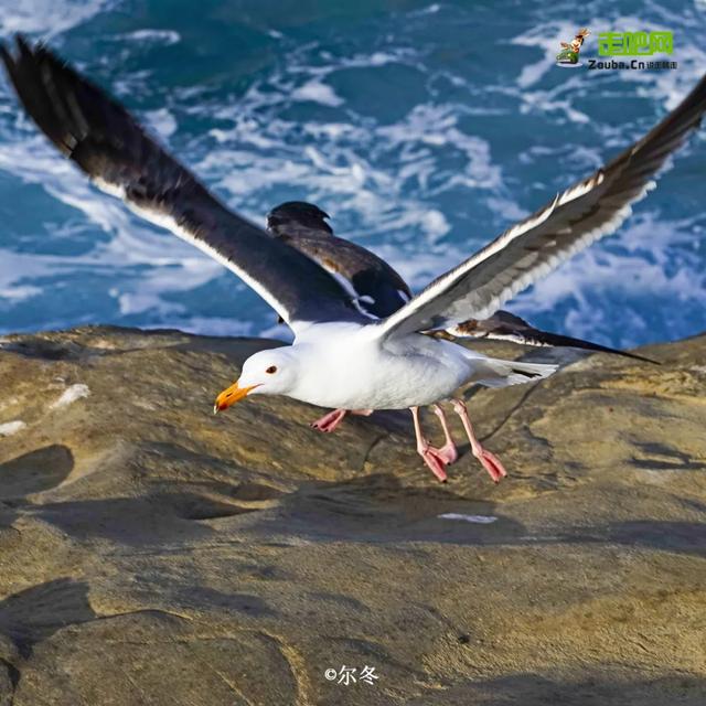 张掖鹅卵石制砂机现货