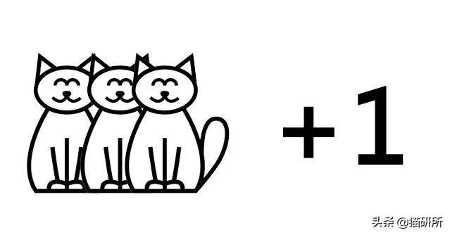 洗衣机洗猫砂