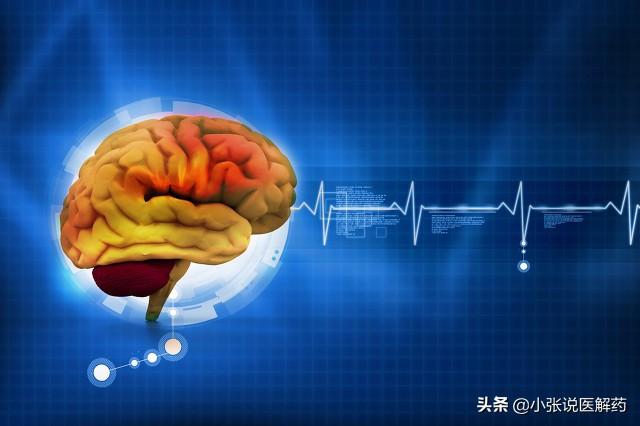 有助于大脑健康5种“脑黄金”，益智，和痴呆心脑血管疾病说再见