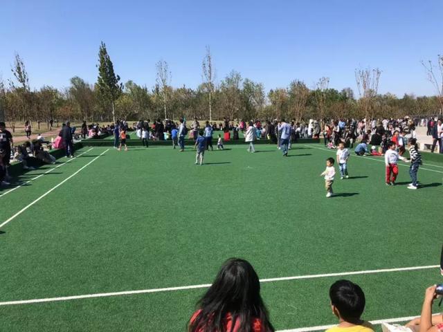 保山干式洗砂机多少钱一台