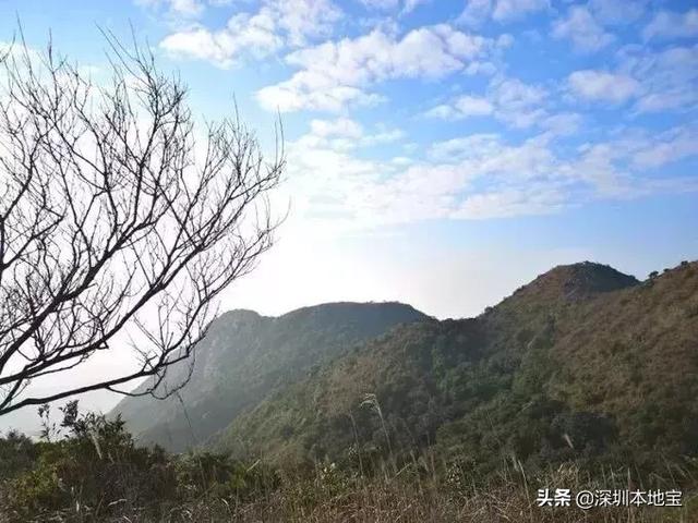 别总窝在家了！深圳这9座山风景超好！周末登山走起