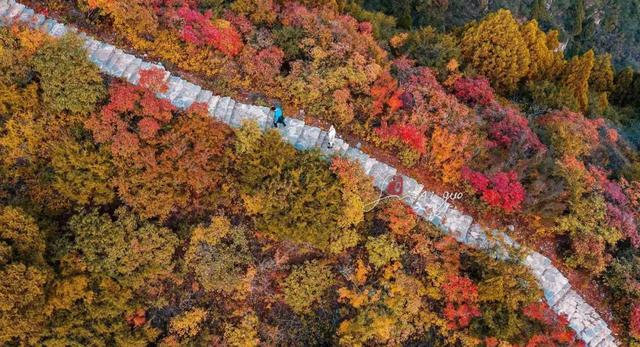 仙台山