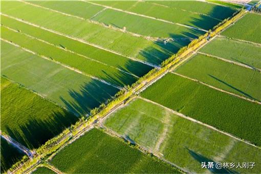 义乌农业现代化示范区