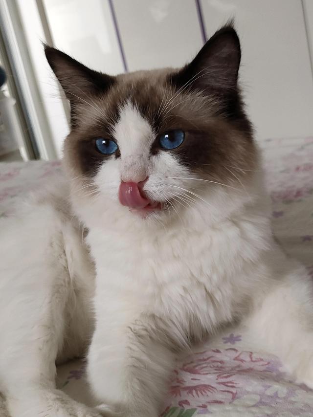 恭贺白眉正太夫妇喜添贵子