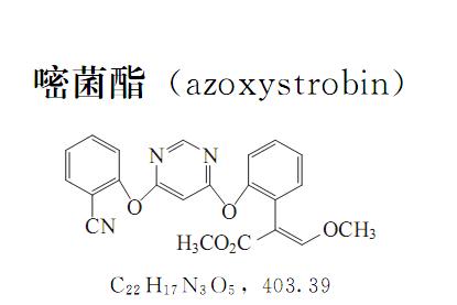 蔬菜常用农药介绍 杀菌剂——嘧菌酯Azoxystrobin 附用药方法