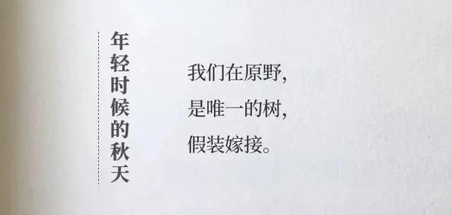 杜蕾斯的广告文案作品（看完想谈恋爱）