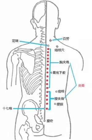 这一个穴位通全身，每天10分钟，快速缓解颈肩腰椎不适，建议收藏