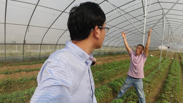 种地为啥一定要用除草剂？农户的做法告诉你，很无奈4