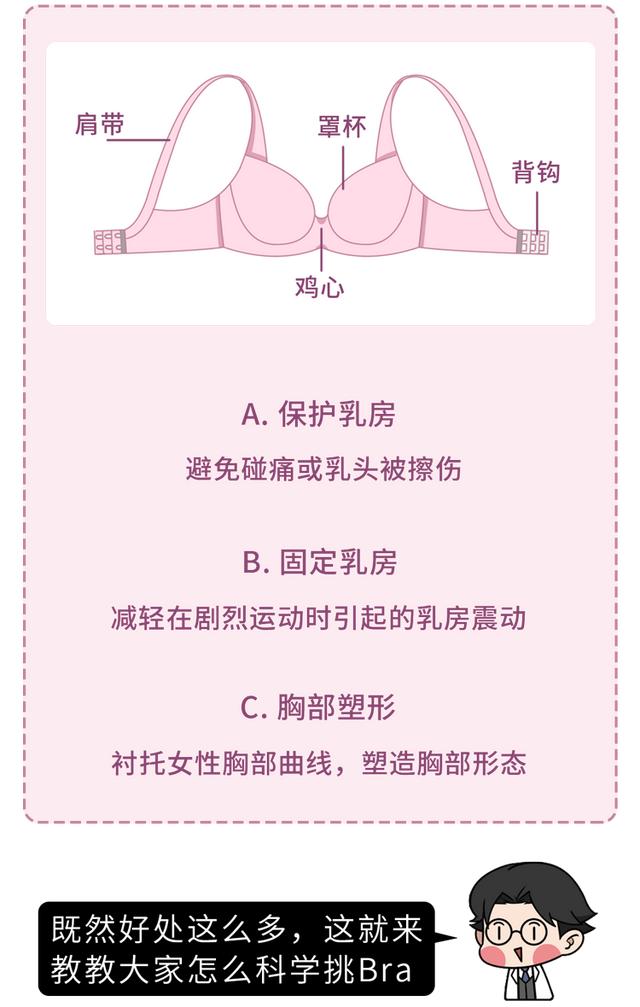 80c胸围是多少