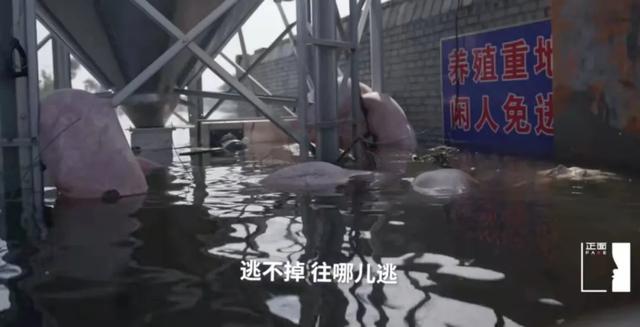 59岁俞敏洪转行直播带货：摧毁一个中年人有多容易？