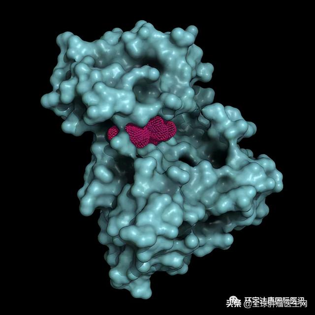 “鉆石”突變ALK又有新藥啦！第四代靶向藥震撼登場