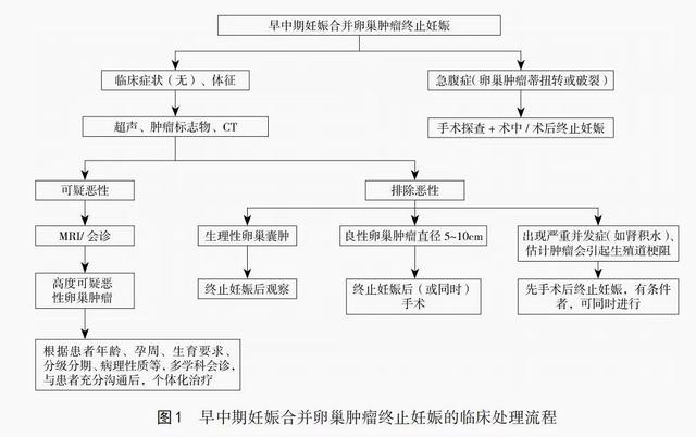 派特灵生物科普｜早中期妊娠合并卵巢肿瘤终止妊娠的中国专家共识