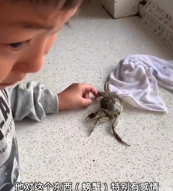 山东10岁男孩被螃蟹夹手哭着等它冷静，母亲：他养了很久有感情
