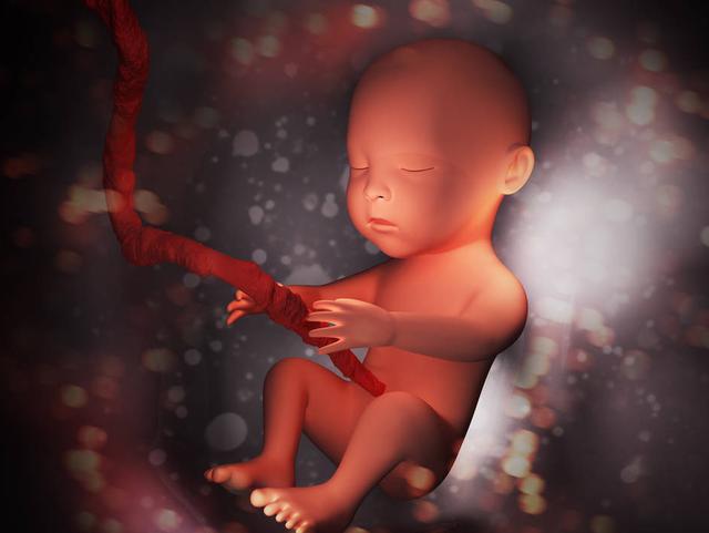 羊水为什么叫羊水，和羊有关系吗？它的作用与重要性有哪些？