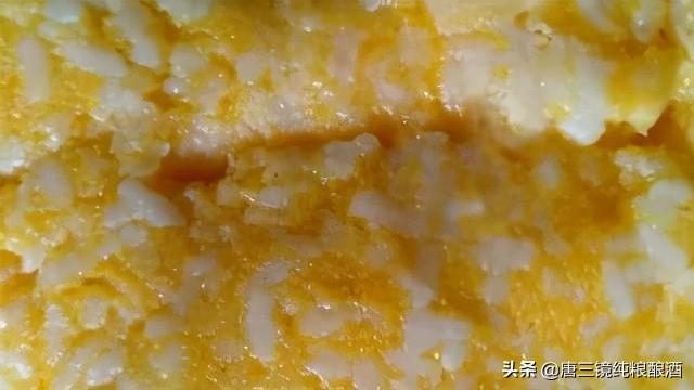 玉米酒过滤机_玉米酒和高粱酒谁优质