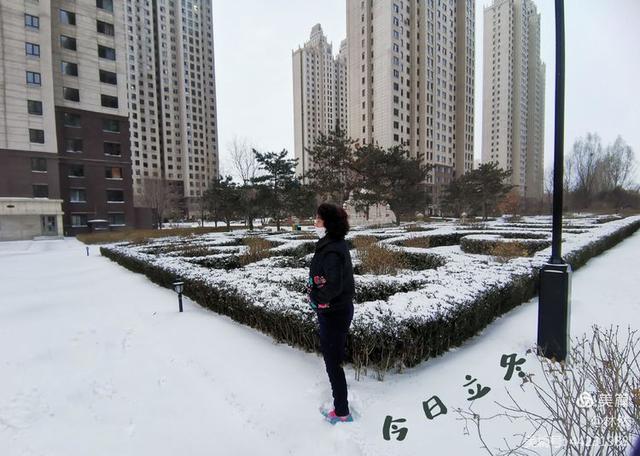文章图片2