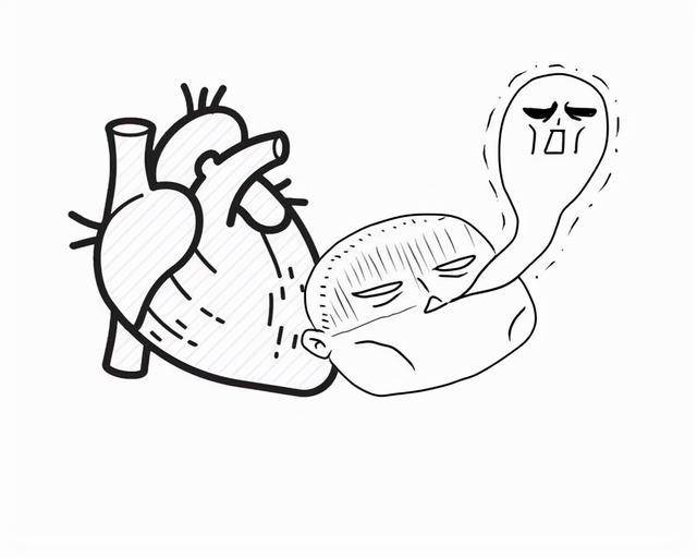 世界心脏日：体检查出窦性心律不齐，难道意味着自己患有心脏病？
