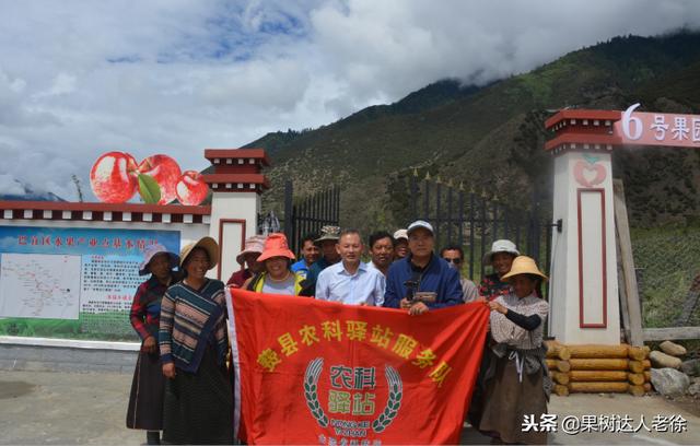 果树机械展