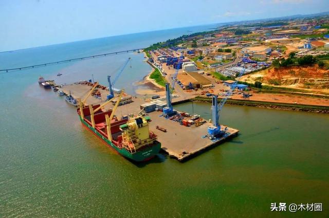 3月15日广州木工机械展