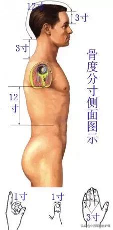 「穴位养生」教你穴位怎么找，收藏价值极高