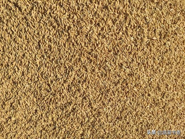 5类自然科学，带孩子走进田野，给孩子更好的自然教育